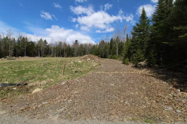 Rangeley, ME 04970,Lot 7 Antler WAY