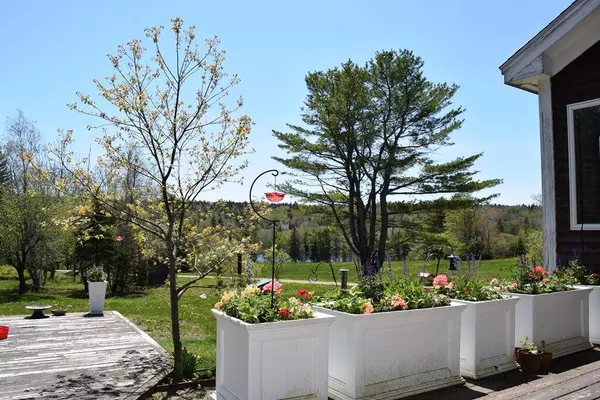 Surry, ME 04684,1212 Surry RD