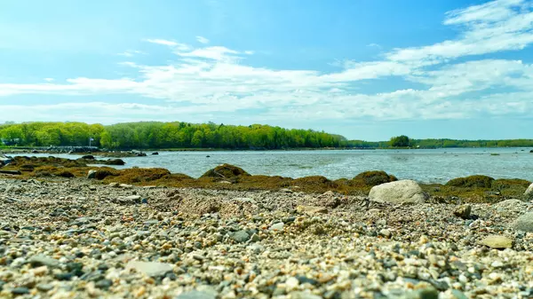 Sedgwick, ME 04676,TBD Frank's Flat