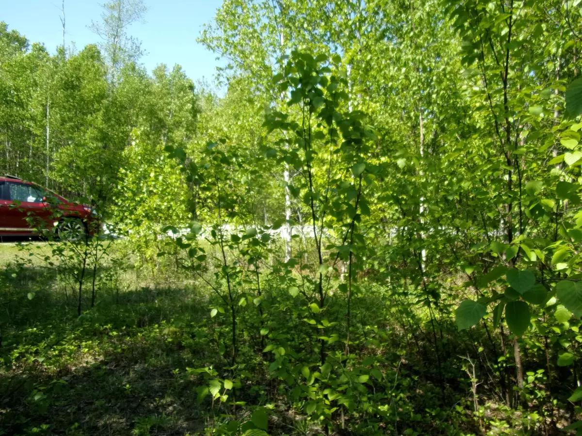 Stockton Springs, ME 04981,26 Heights RD