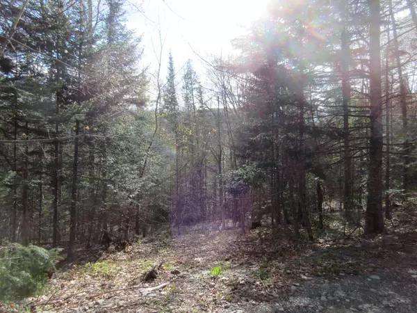 Blanchard Twp, ME 04406,31.31 N n Blanchard Shirley RD