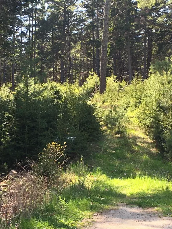 Georgetown, ME 04548,0 Blueberry Hill LN