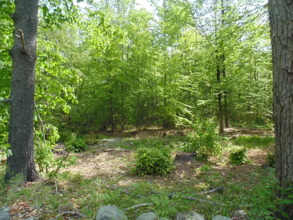 Limerick, ME 04048,352 Sokokis TRL S