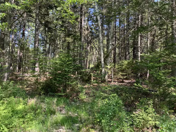 Deer Isle, ME 04627,00 Quaco Road (Lily Pond Est #6)