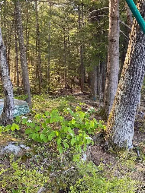 Waterford, ME 04088,0 Little Moose Pond/Ben Hale RD