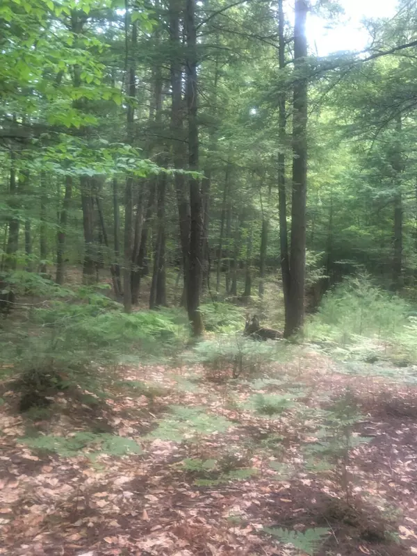 Fryeburg, ME 04037,0 Mountain View RD