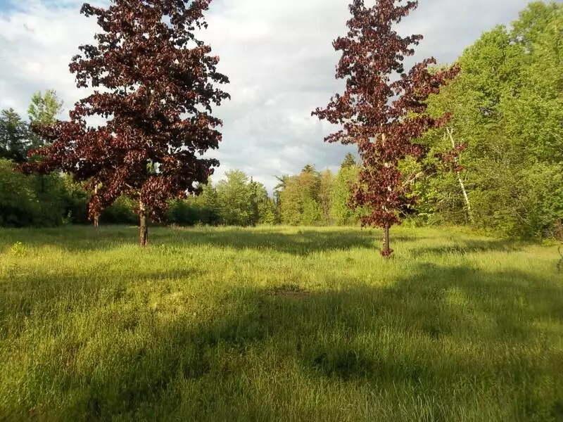 Robbinston, ME 04671,187 Sweeny RD