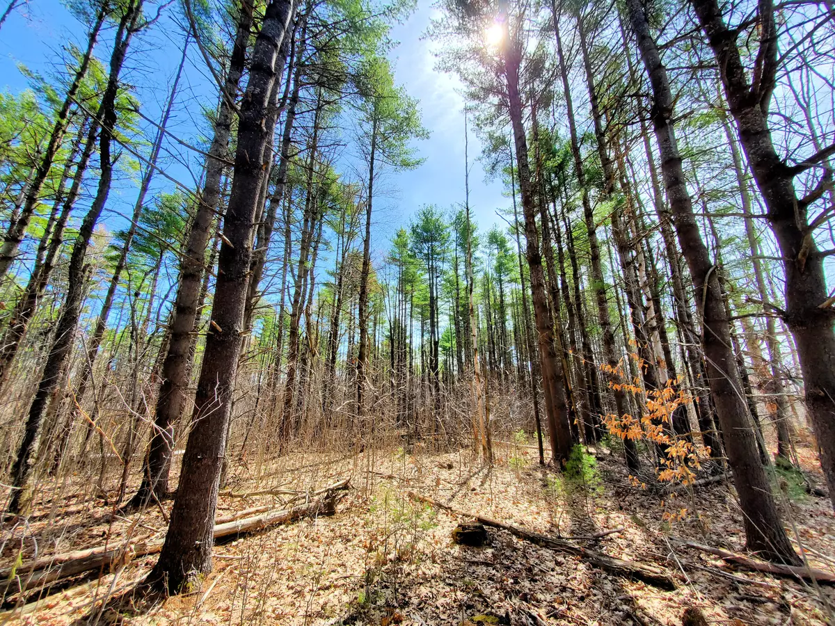 Saint Albans, ME 04971,00 Snow RD