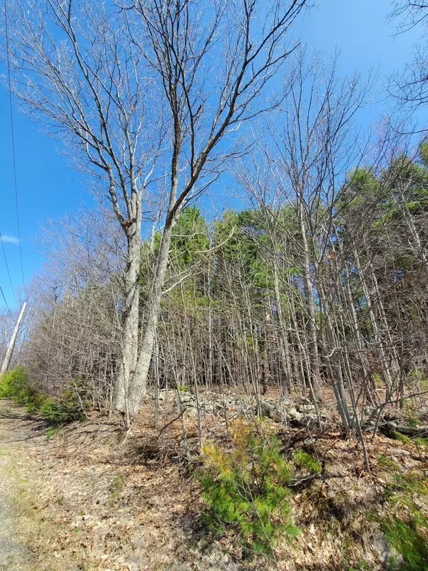 Saint Albans, ME 04971,00 Snow RD