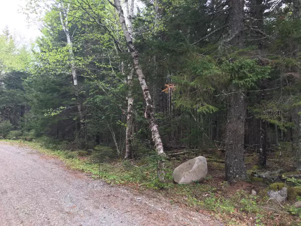 Roque Bluffs, ME 04654,Lot 57 Chambers Point RD