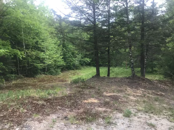 Waterford, ME 04088,77 Five Kezars RD