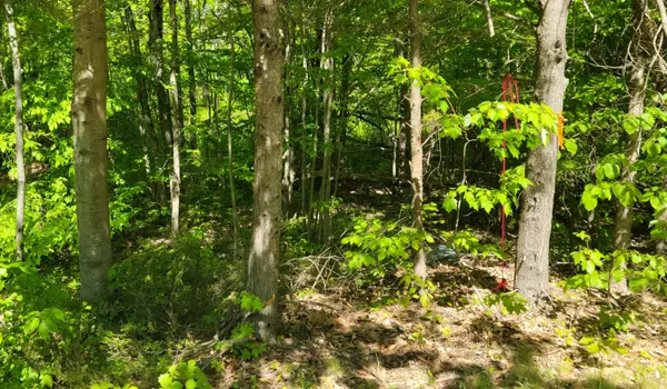 Pownal, ME 04069,0 Elmwood RD