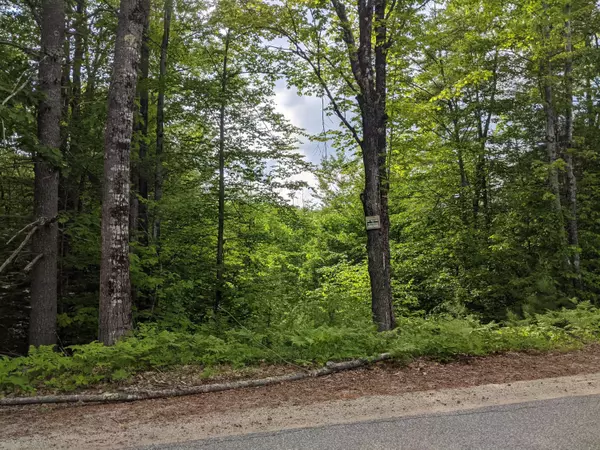 Porter, ME 04068,16 Norton Hill RD
