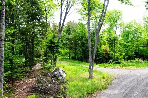 Greenville, ME 04441,Lot 11 Landon LN
