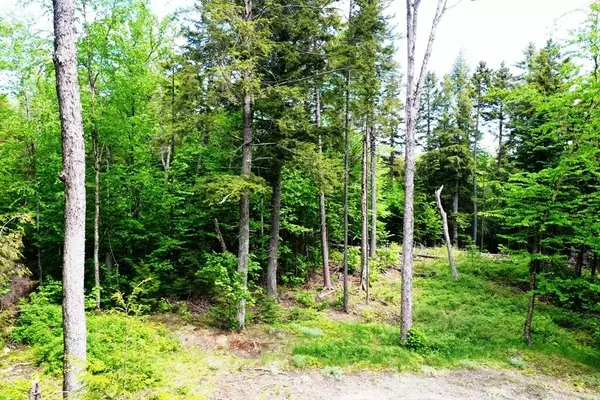 Greenville, ME 04441,Lot 11 Landon LN