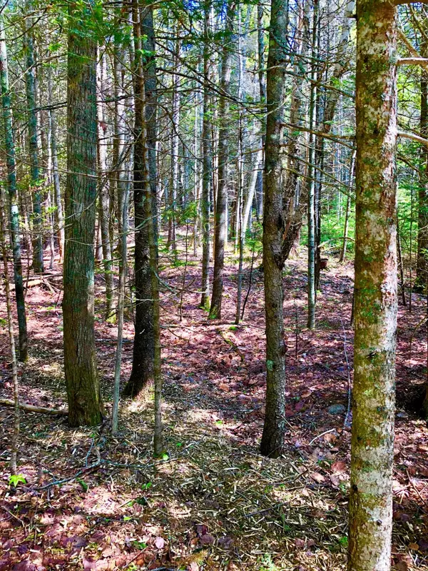 Southwest Harbor, ME 04679,45A Robinson Hill RD