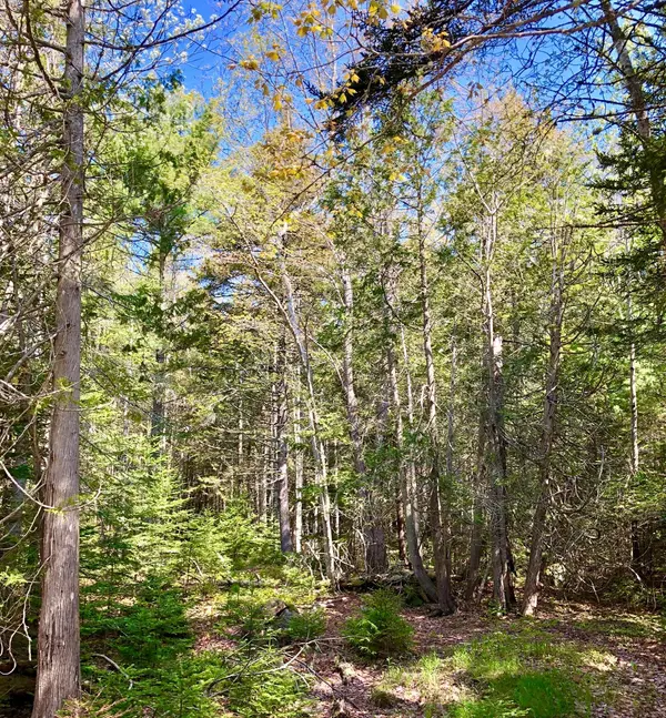 Southwest Harbor, ME 04679,45A Robinson Hill RD