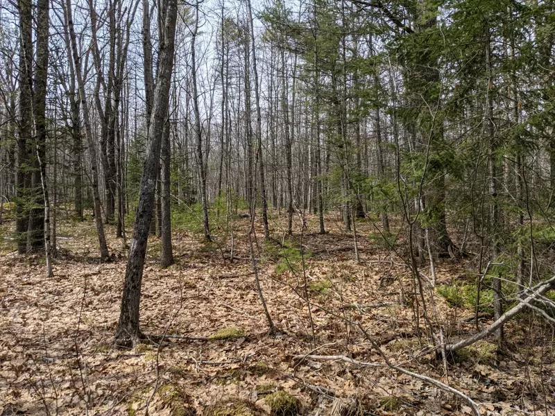 0 Arrowsic Road, Arrowsic, ME 04530