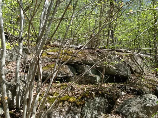 500 Cosgrove DR, Otis, ME 04605