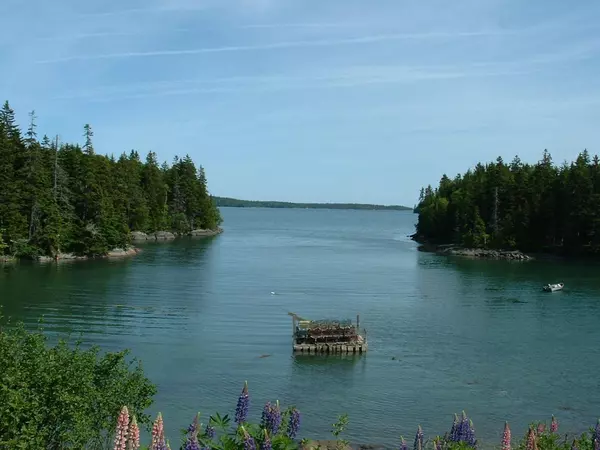 Roque Bluffs, ME 04654,Lot 7B Duck Cove RD
