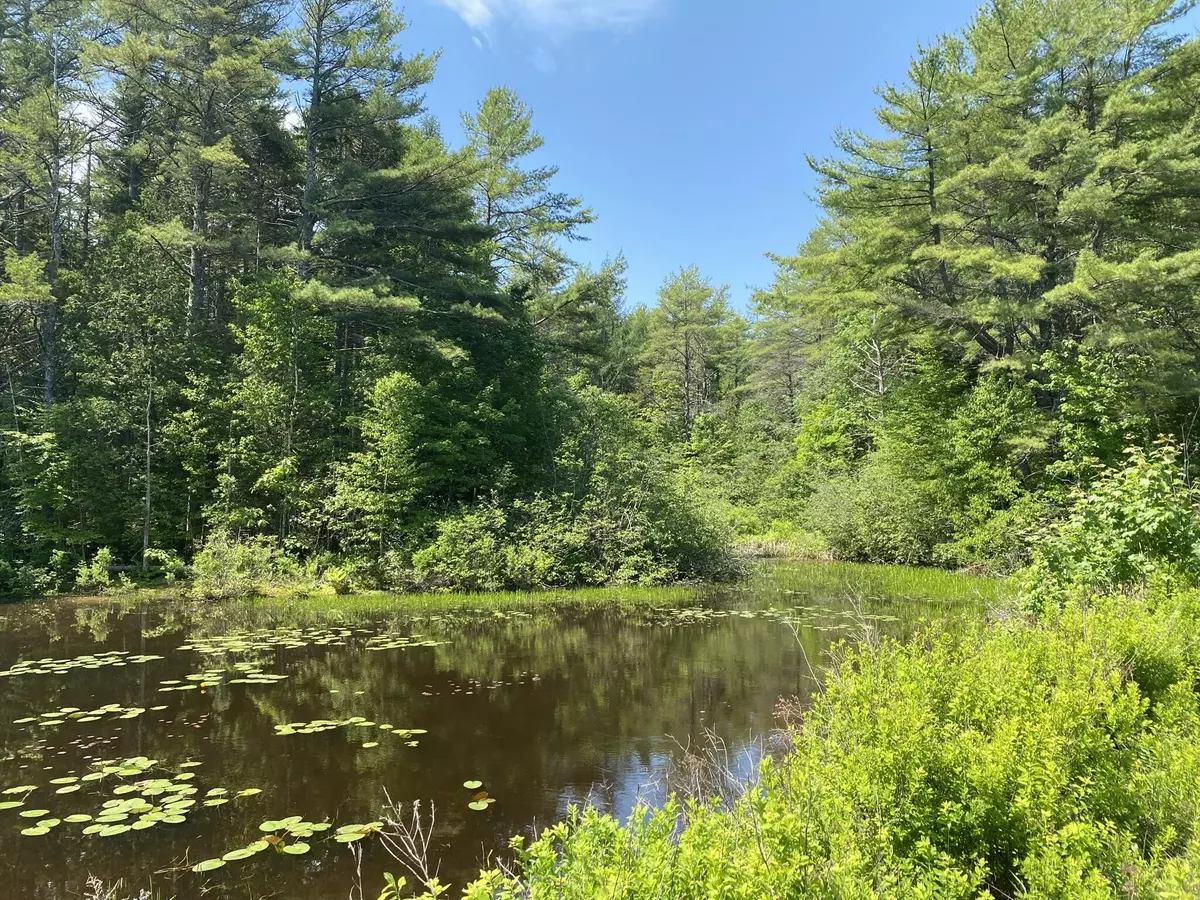 Waldoboro, ME 04572,251 Dutch Neck RD