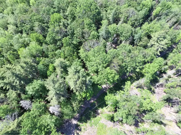 Orland, ME 04472,M10 Lot28A Randall LN