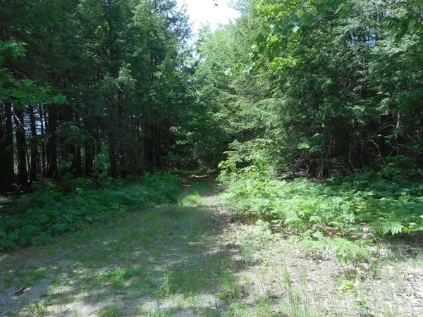 Greenbush, ME 04418,0 Spring Bridge RD