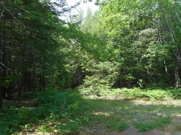 Greenbush, ME 04418,0 Spring Bridge RD