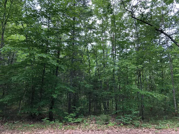 Baldwin, ME 04024,35acres Freemont & Bridgton Roads