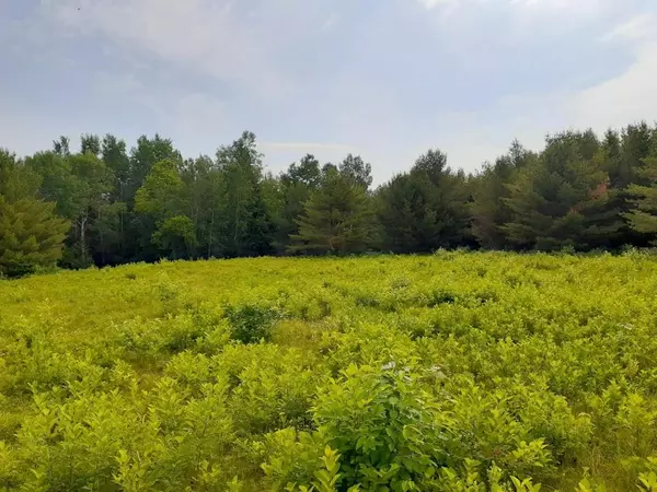 Phillips, ME 04966,TBD Rangeley RD