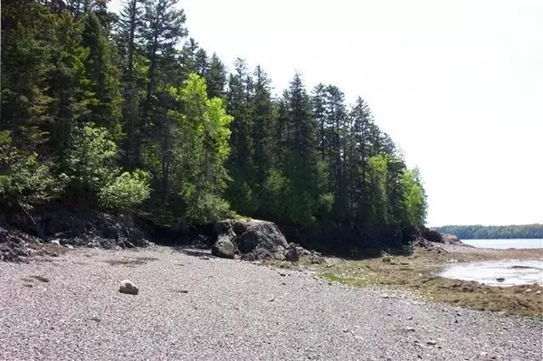 Lubec, ME 04652,M11 L28 North Lubec RD