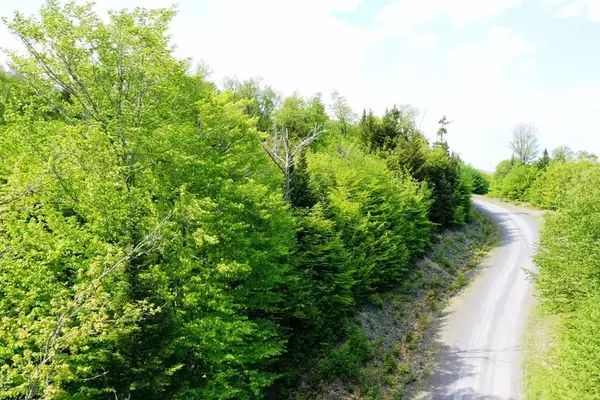 Greenville, ME 04441,Lot 3 Alpine RDG