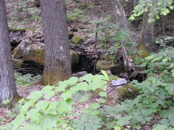 Lovell, ME 04051,639 Sabattus RD