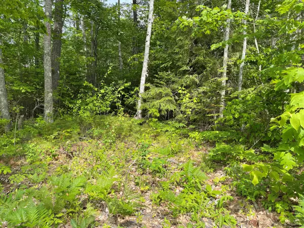 Old Town, ME 04468,0 Woodland DR