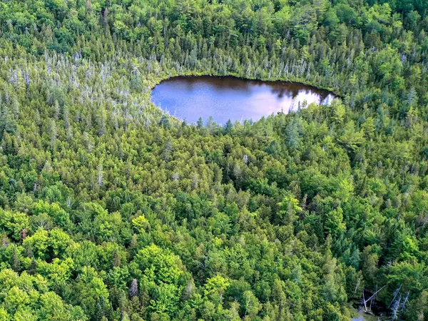 Guilford, ME 04443,143 Wharff RD