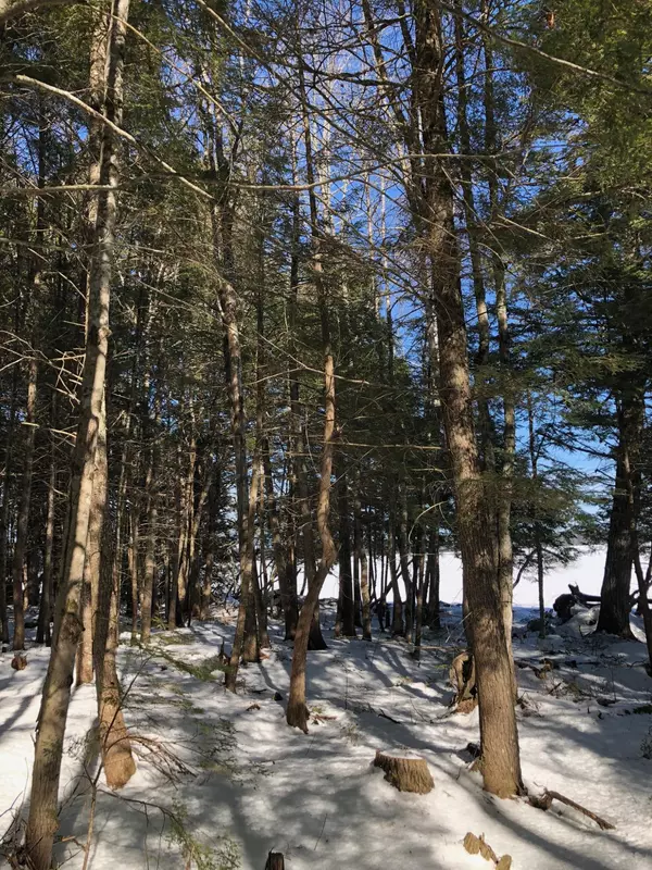 Lot 4 Black Cat Point PT, Princeton, ME 04668