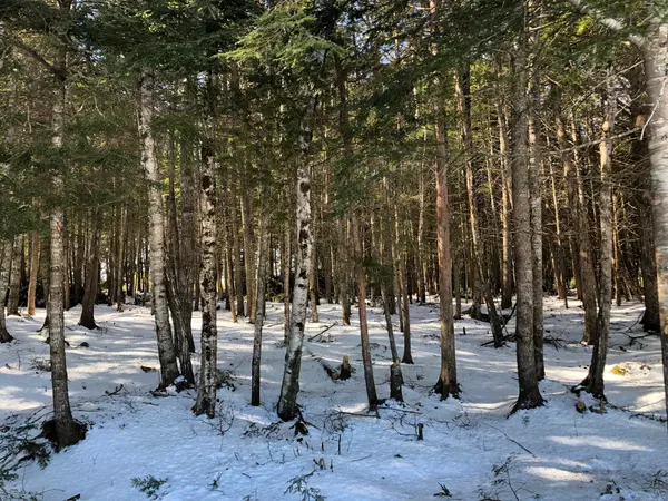 Princeton, ME 04668,Lot 4 Black Cat Point PT