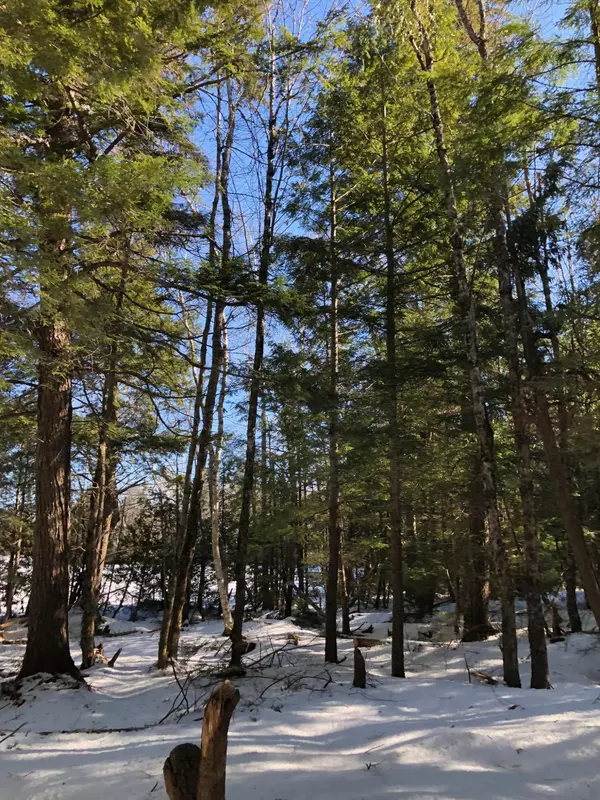 Princeton, ME 04668,Lot 4 Black Cat Point PT