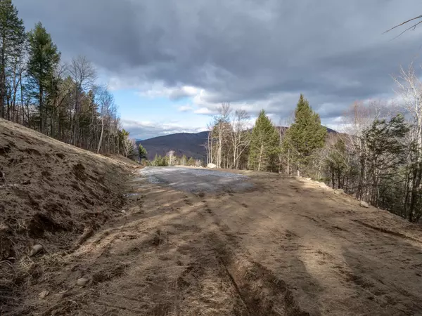 Newry, ME 04261,TBD Monkey Brook RD