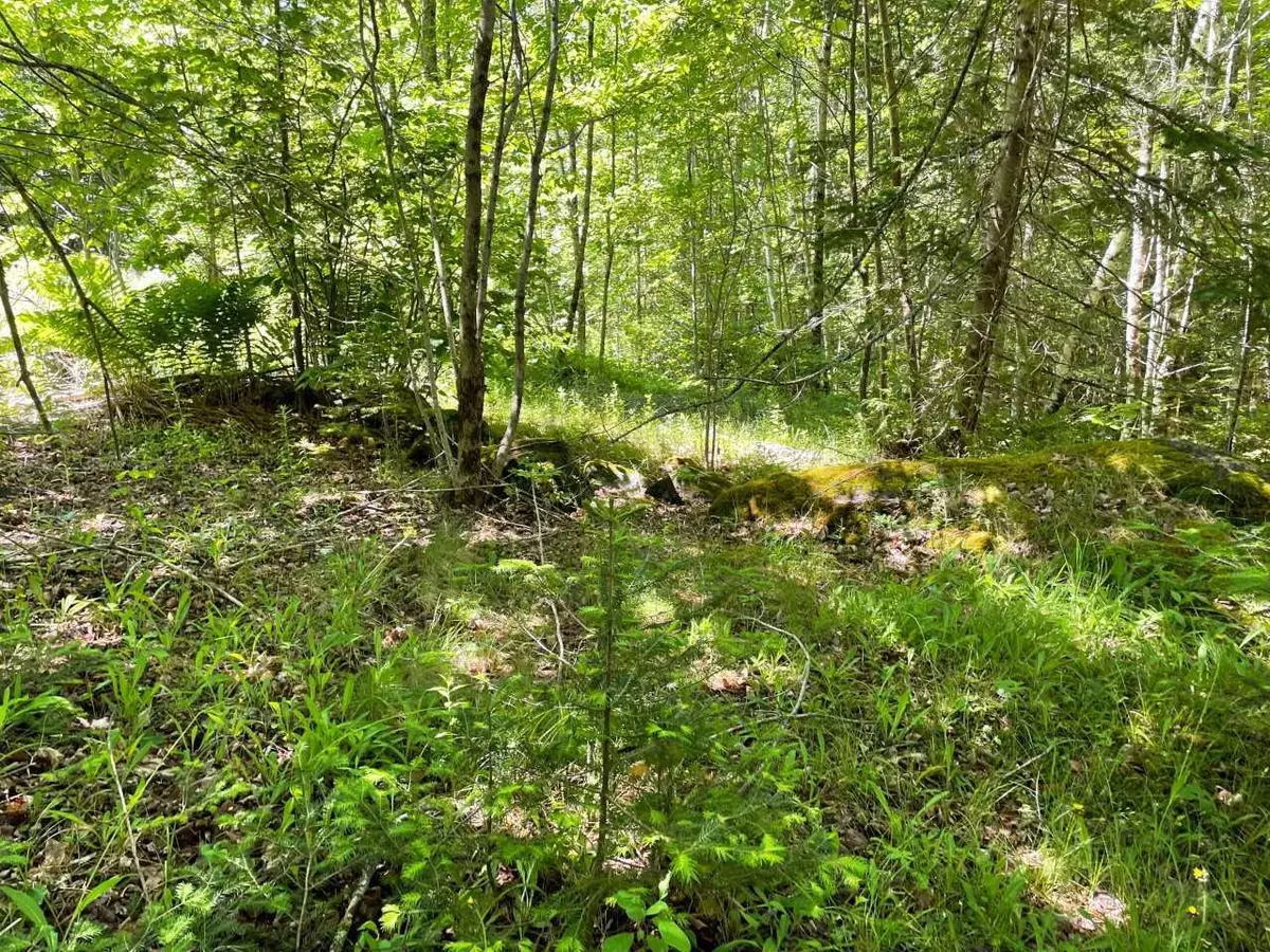 Northfield, ME 04654,1550 Northfield Road