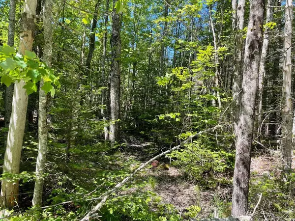 Northfield, ME 04654,1550 Northfield Road