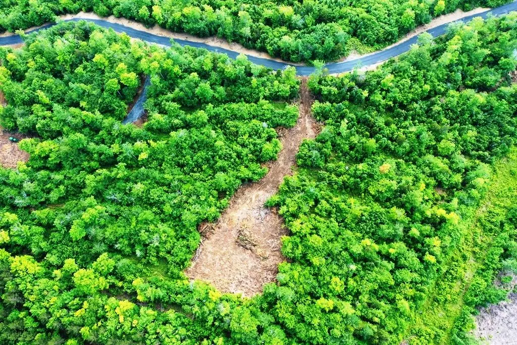 Greenville, ME 04441,Lot 3 Black Bear EXT