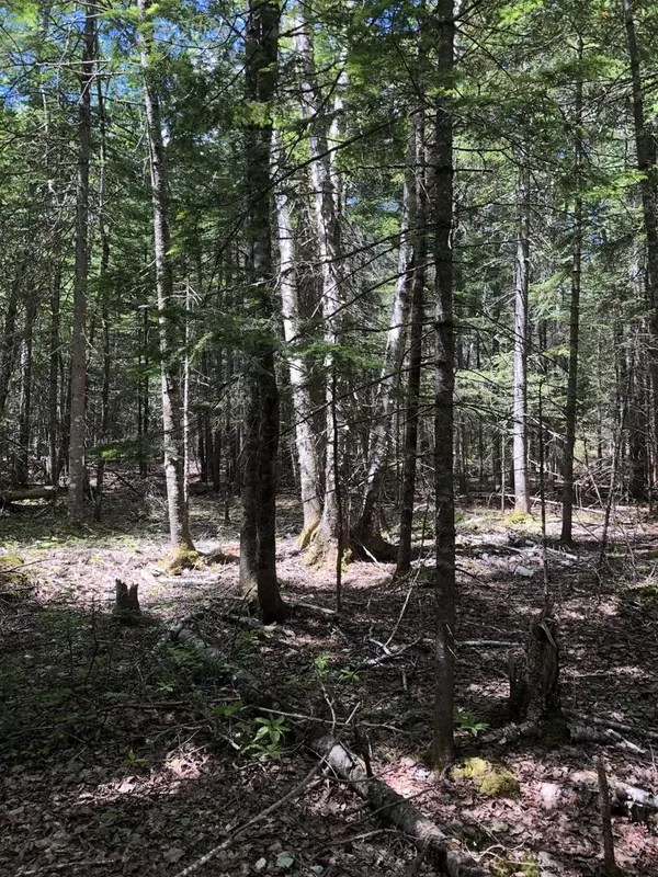 Pembroke, ME 04666,TBD East River RD