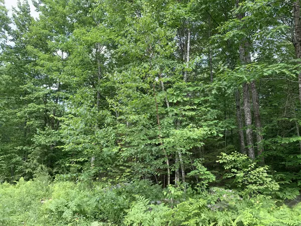 Woodstock, ME 04219,Lot 9 Hickory DR