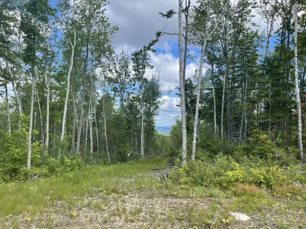 lot 32 Pelletier RD, Madawaska, ME 04756