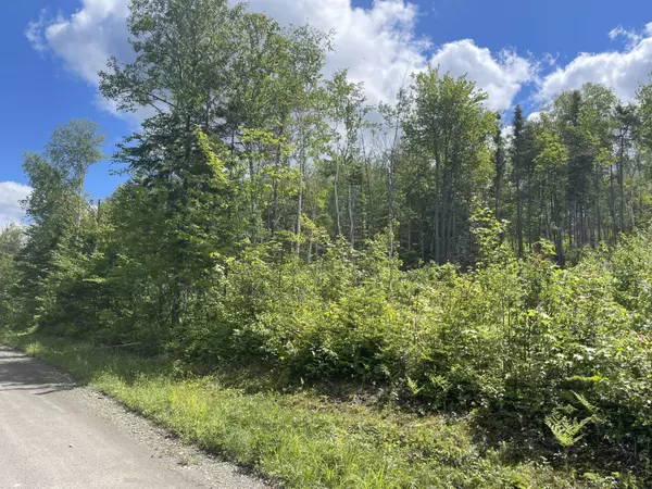 Madawaska, ME 04756,lot 32 Pelletier RD