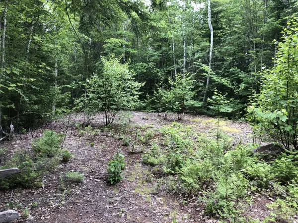 Lakeville, ME 04487,280 Sys RD