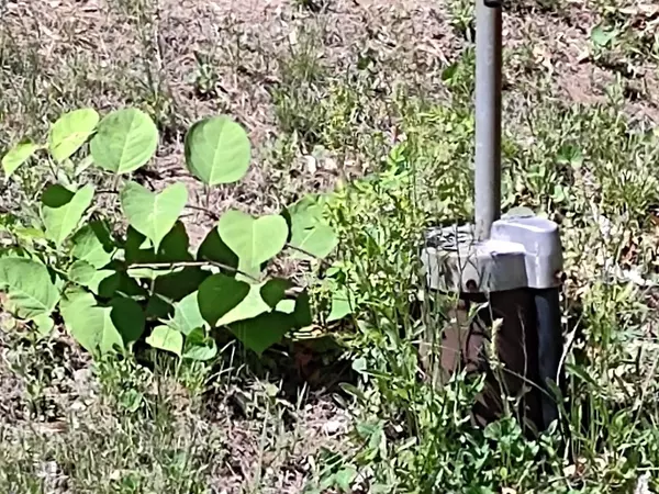 Minot, ME 04258,248 Grange AVE