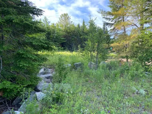 Greenville, ME 04441,20 Cotas DR