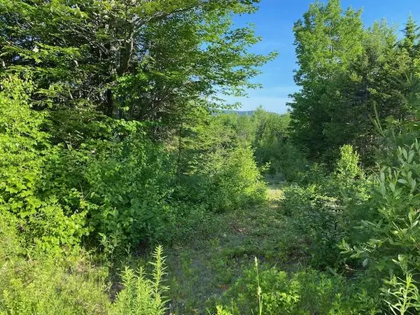 Greenville, ME 04441,20 Cotas DR